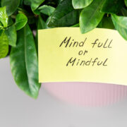 Plant met tekst mind full or mindful