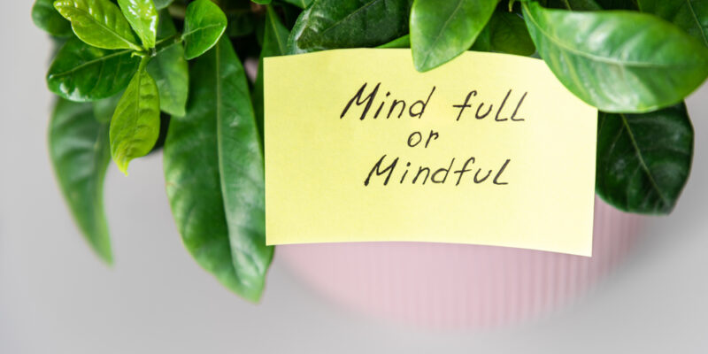 Plant met tekst mind full or mindful